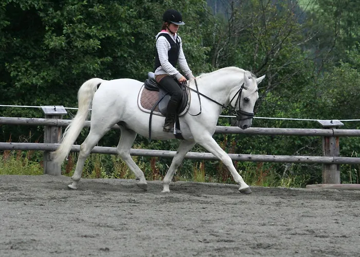 Familiehotel: Altachhof Hotel Und Ferienanlage - Jokercard Im Sommer Inklusive