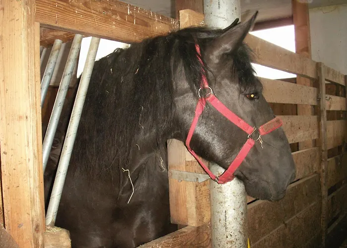 Ferienhof Wölflbauer